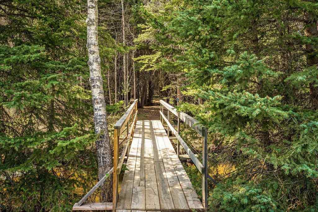 MLS® A2236264 - 98 Saddle Road  in NONE Rural Rocky View County, Residential