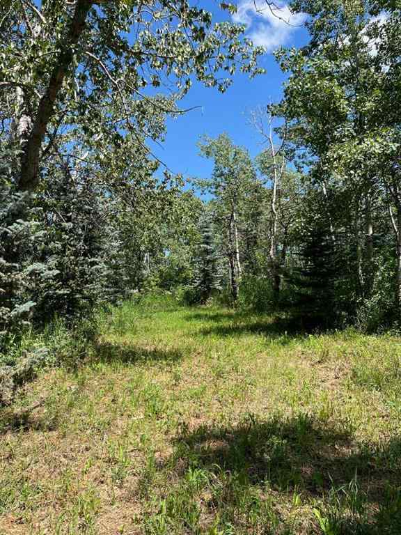 MLS® A2236389 -  Harmony Ridge Estates   in NONE Rural Foothills County, Land