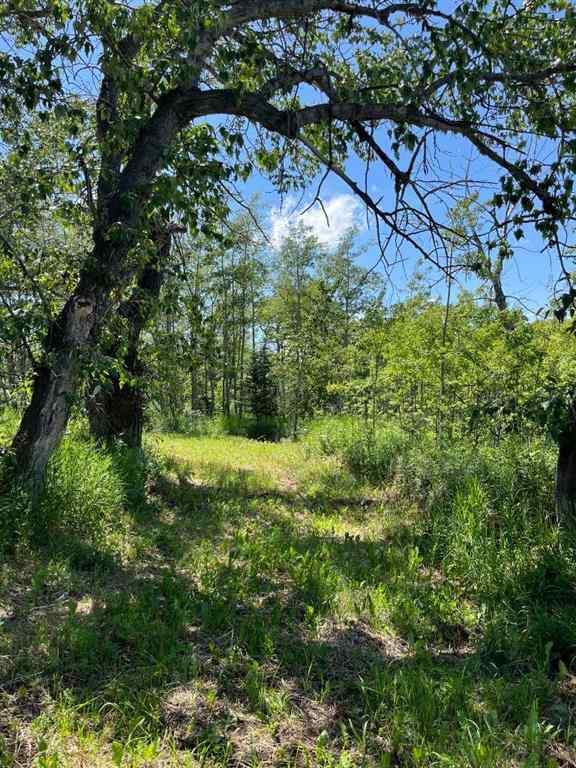 MLS® A2236389 -  Harmony Ridge Estates   in NONE Rural Foothills County, Land