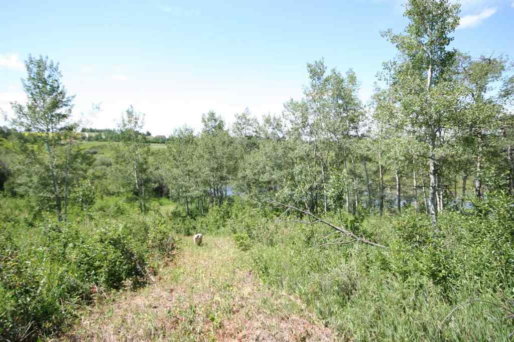 MLS® A2236389 -  Harmony Ridge Estates   in NONE Rural Foothills County, Land