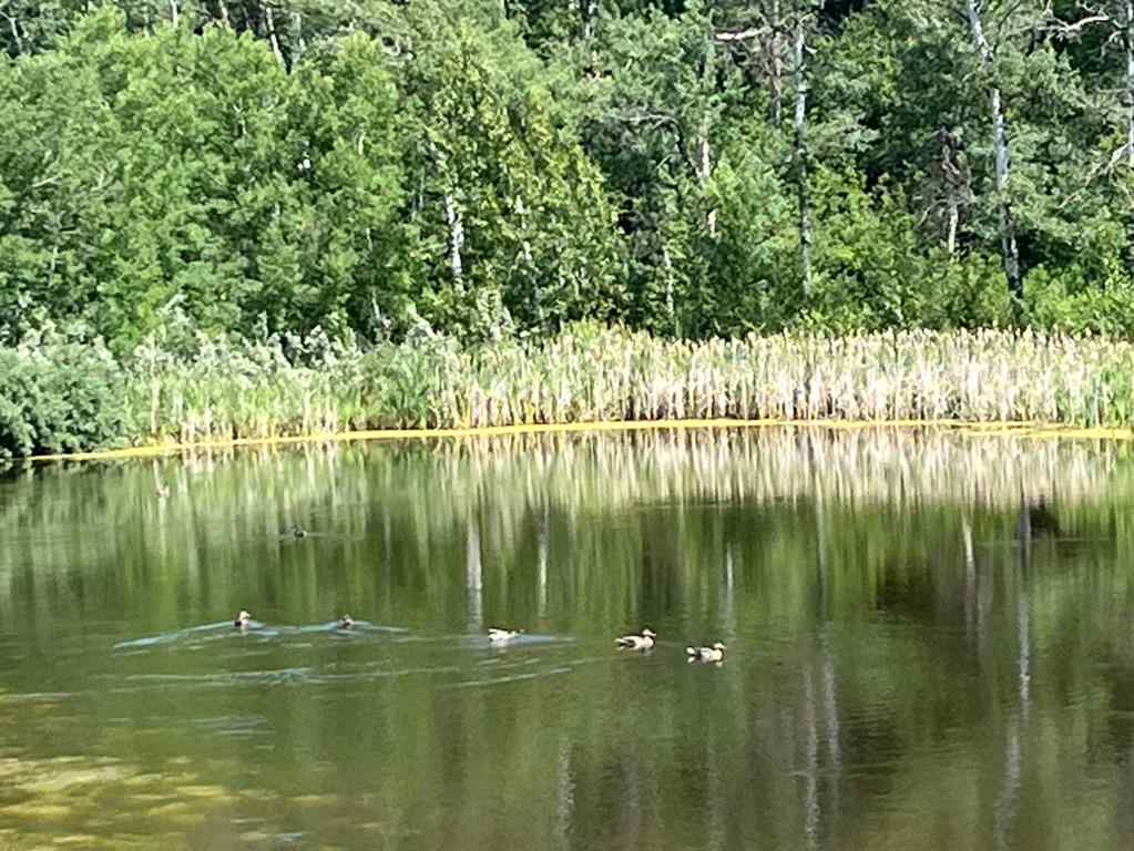 MLS® A2236389 -  Harmony Ridge Estates   in NONE Rural Foothills County, Land