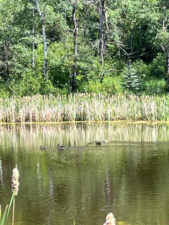 MLS® A2236389 -  Harmony Ridge Estates   in NONE Rural Foothills County, Land