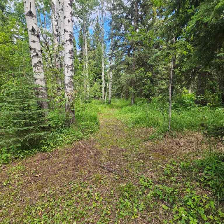 MLS® A2236401 - Unit #2 56031 Range Road 153   in NONE Rural Yellowhead County, Land