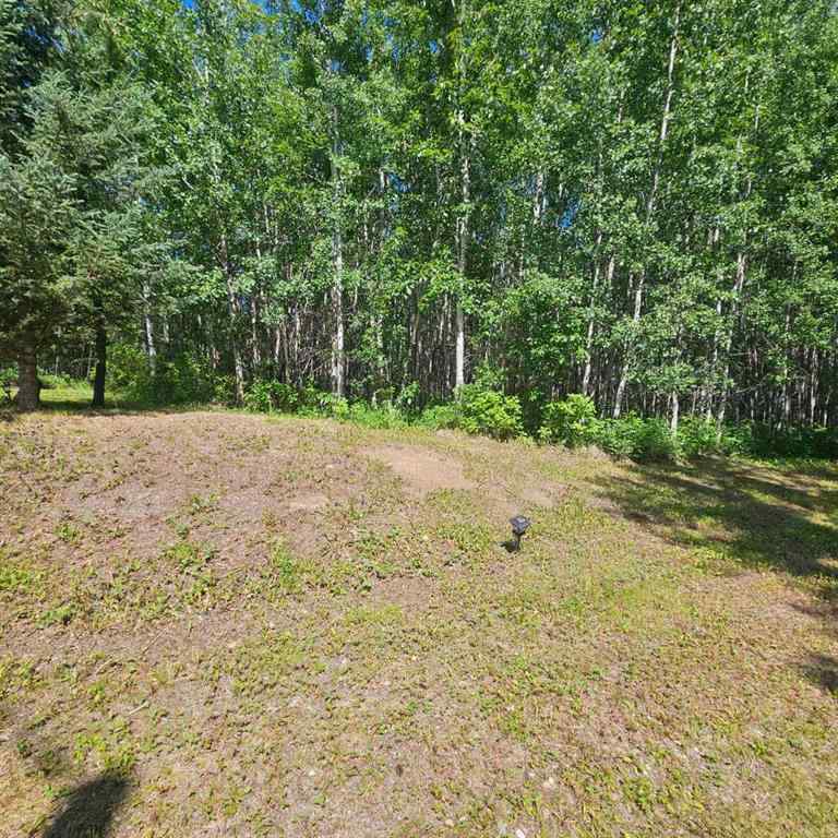 MLS® A2236401 - Unit #2 56031 Range Road 153   in NONE Rural Yellowhead County, Land