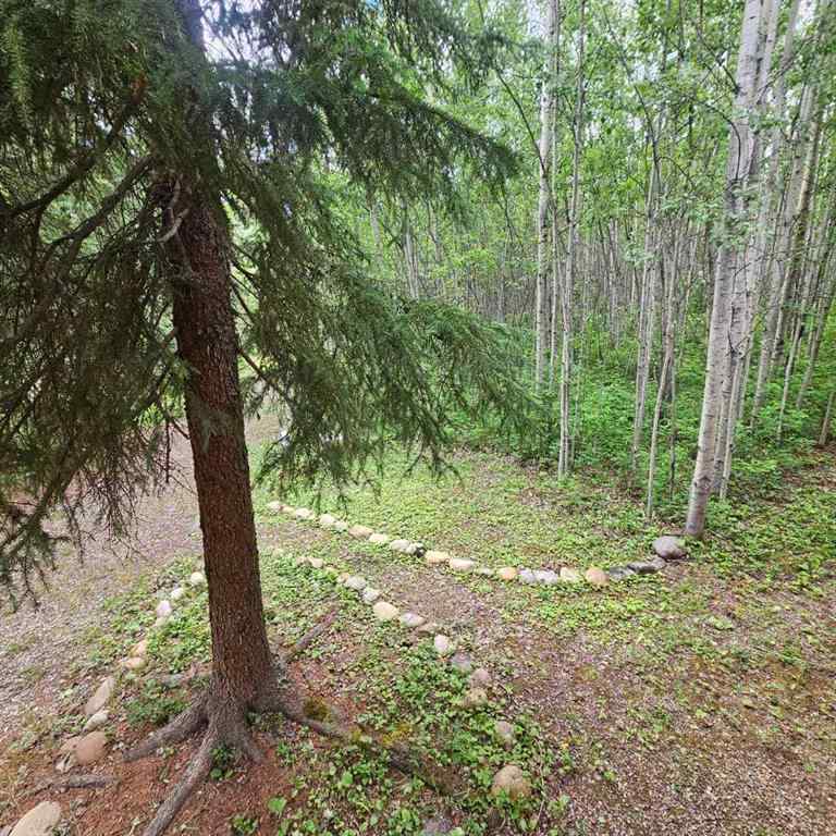 MLS® A2236401 - Unit #2 56031 Range Road 153   in NONE Rural Yellowhead County, Land