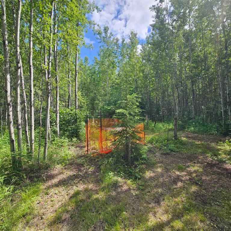 MLS® A2236401 - Unit #2 56031 Range Road 153   in NONE Rural Yellowhead County, Land