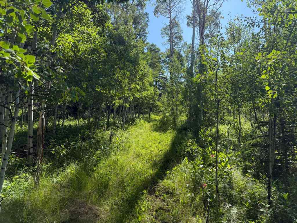 MLS® A2236407 - 288145 160 Avenue W in NONE Rural Foothills County, Residential