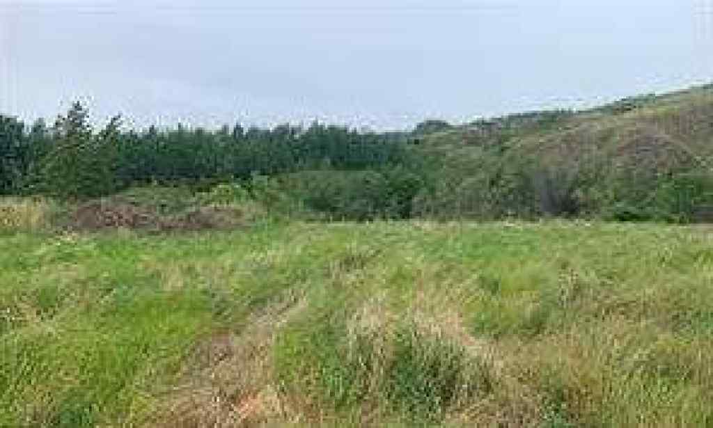 MLS® A2236423 - 8201 98 Street  in NONE Peace River, Land
