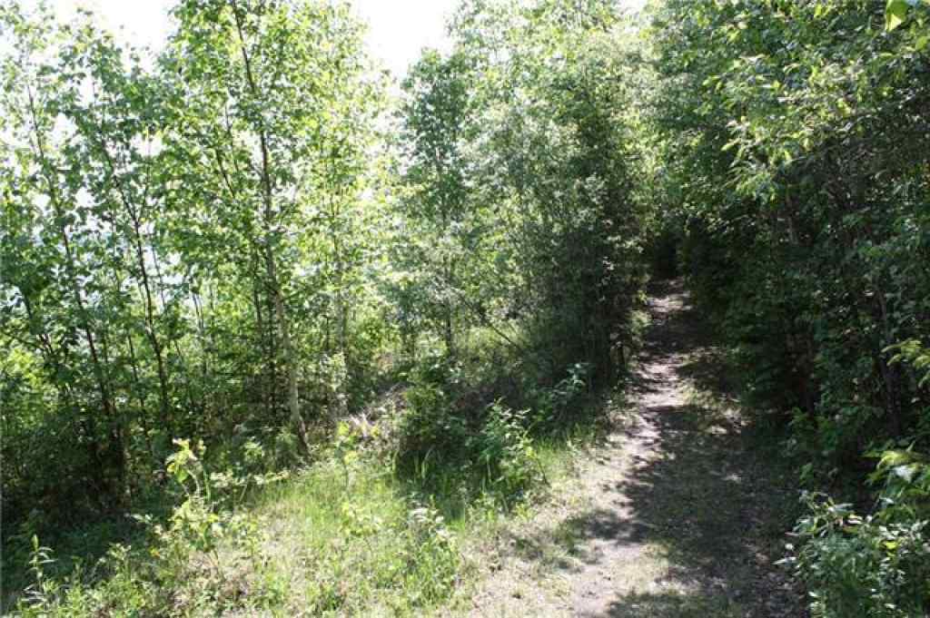 MLS® A2236438 - 100 TRINITY Boulevard  in Lac La Biche Lac La Biche, Residential