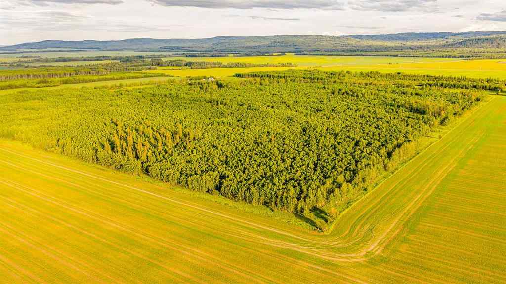 MLS® A2236473 - 78248 Range Road 85   in NONE Rural Saddle Hills County, Agri-Business