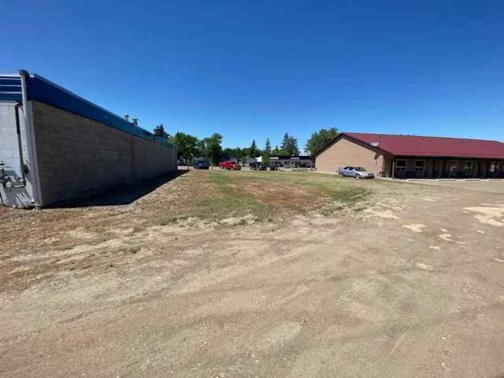 MLS® A2236545 - 117 Centre Street  in NONE Duchess, Land