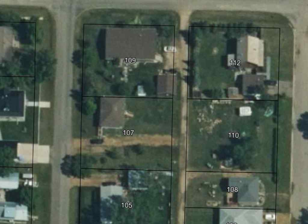 MLS® A2236966 - 107 2 Street W in NONE Munson, Residential