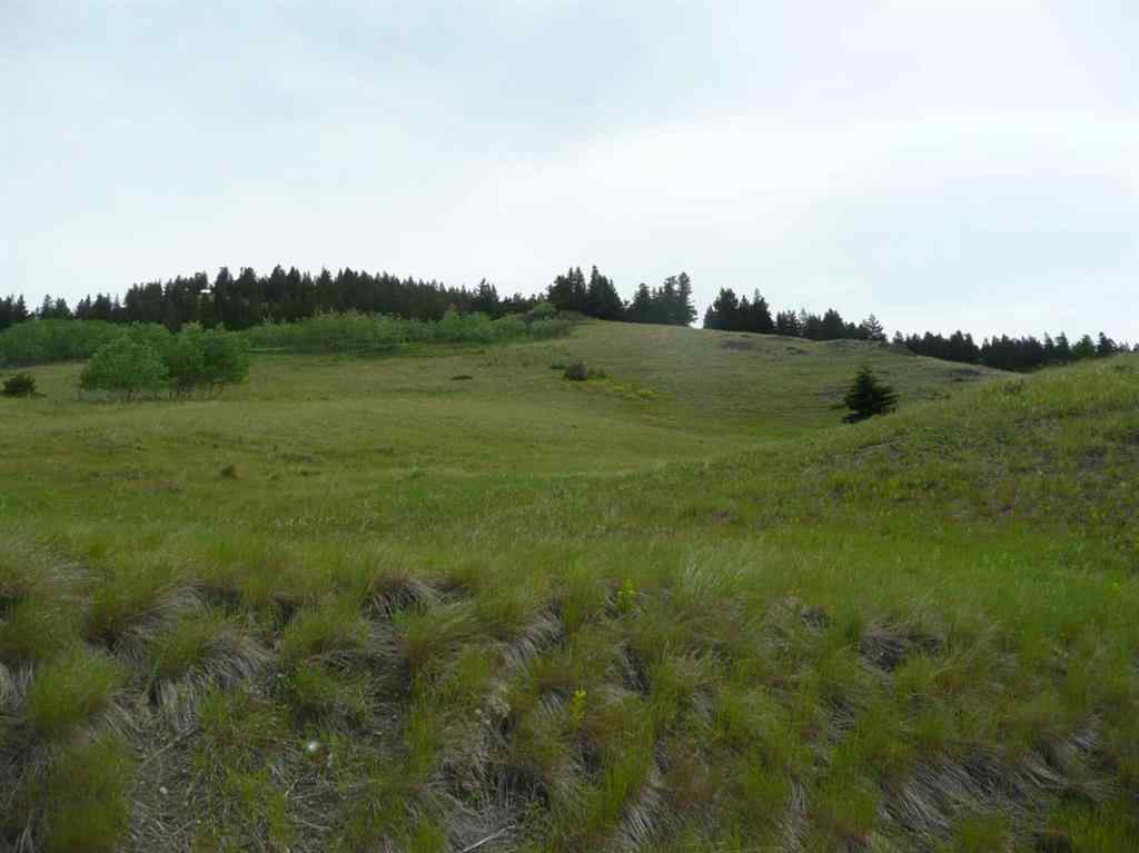MLS® A2237183 - 2211 89 Street  in NONE Coleman, Land