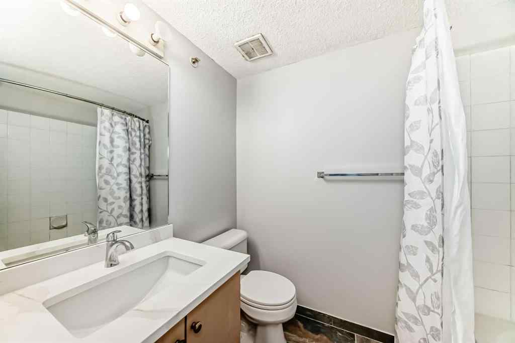 MLS® A2237254 - Unit #425 1717 60 Street SE in Red Carpet Calgary, Residential