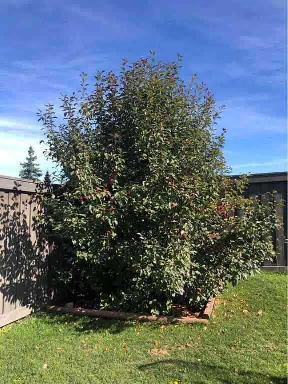MLS® A2237334 - 6705 58 Street  in NONE Rocky Mountain House, Residential