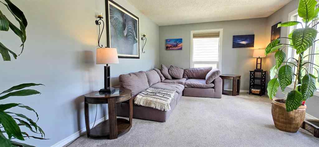 MLS® A2237504 - 13450 17 Avenue  in NONE Blairmore, Residential