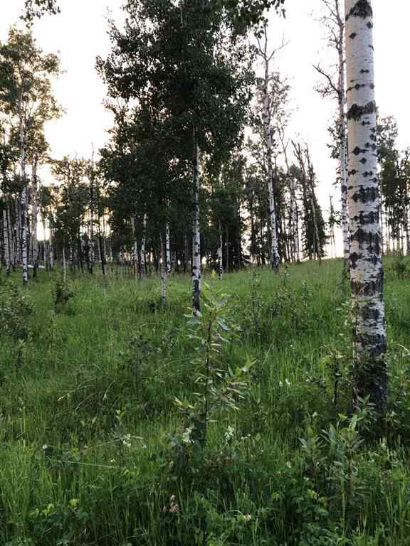 MLS® A2237508 - Unit #10 and 20 31048 Range Road 50 Acres  in NONE Rural Mountain View County, Land