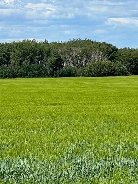 MLS® A2237629 - NE-17-72-6-W6 .   in NONE Grande Prairie, Land