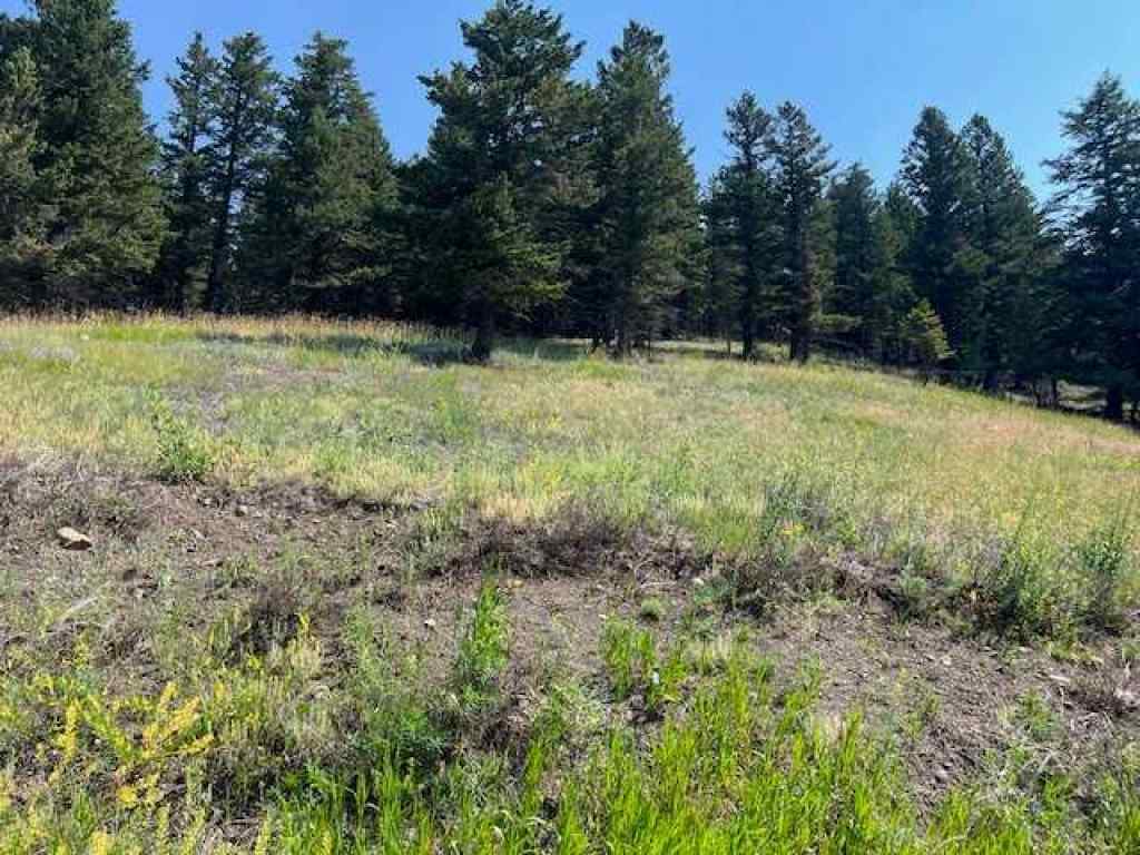 MLS® A2237652 - 8717 24 Avenue  in NONE Coleman, Land