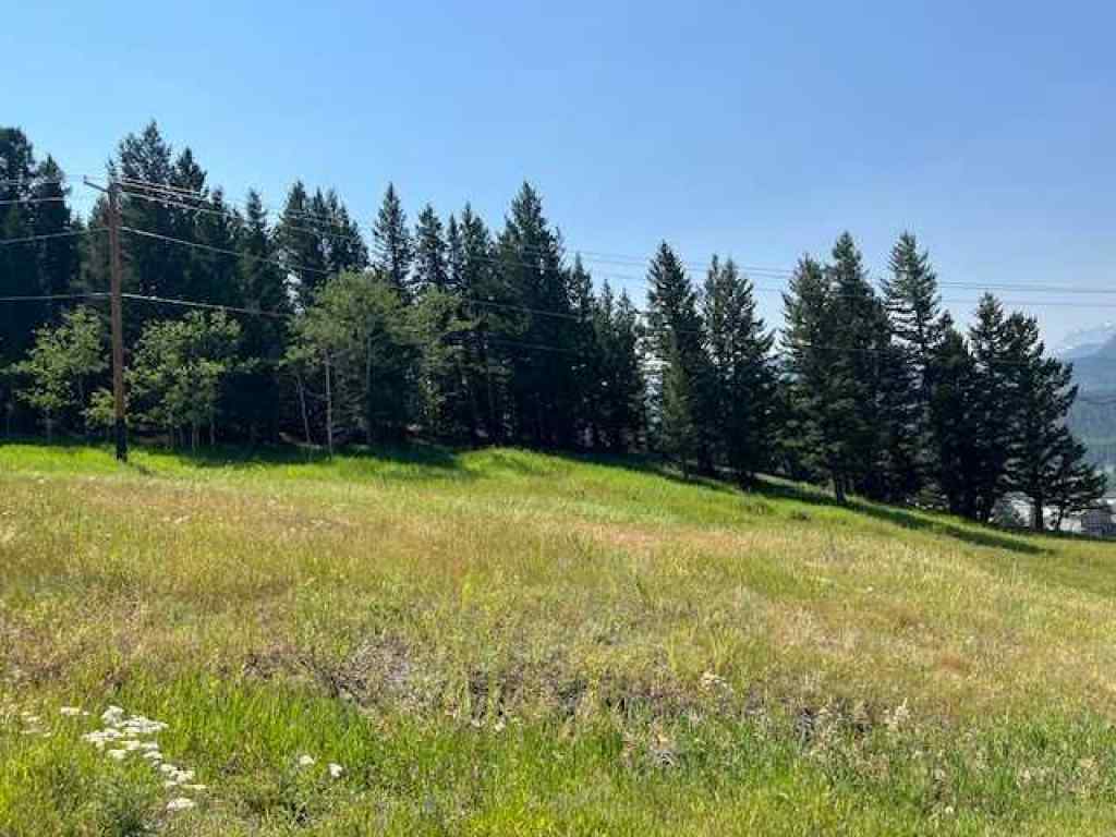 MLS® A2237652 - 8717 24 Avenue  in NONE Coleman, Land