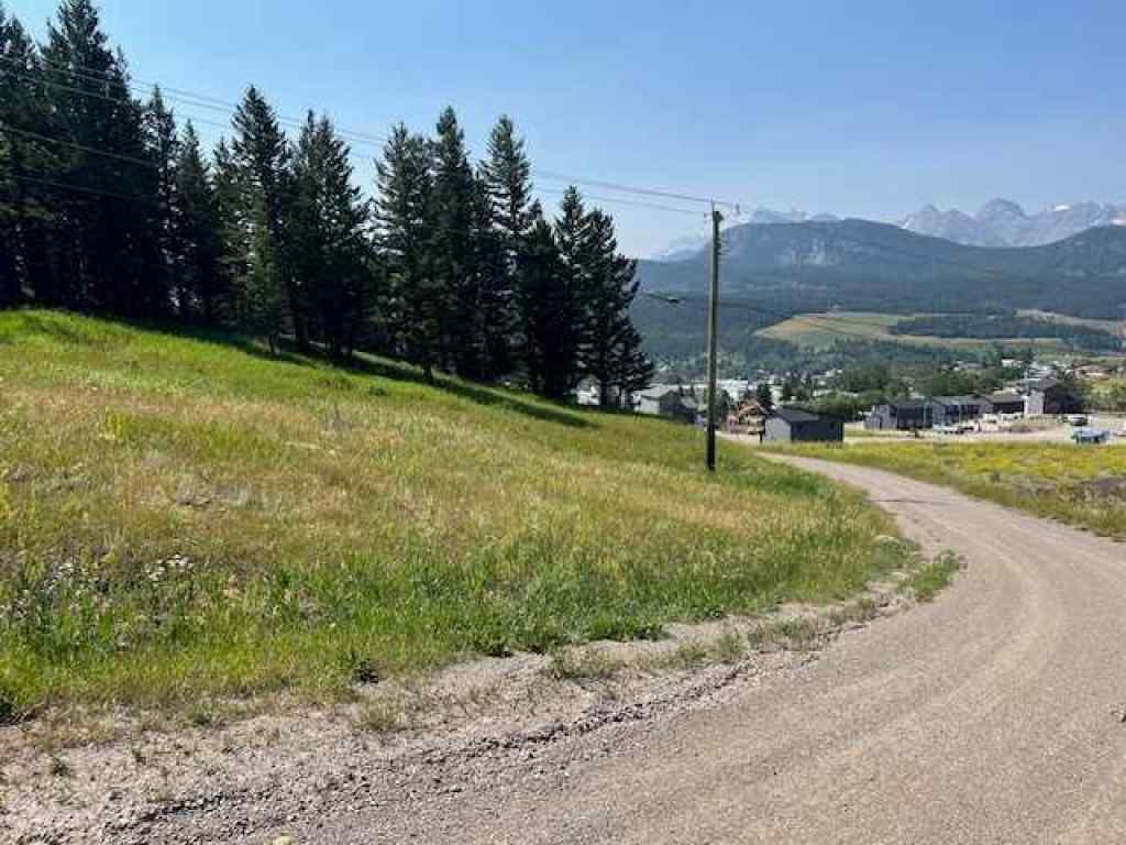 MLS® A2237652 - 8717 24 Avenue  in NONE Coleman, Land
