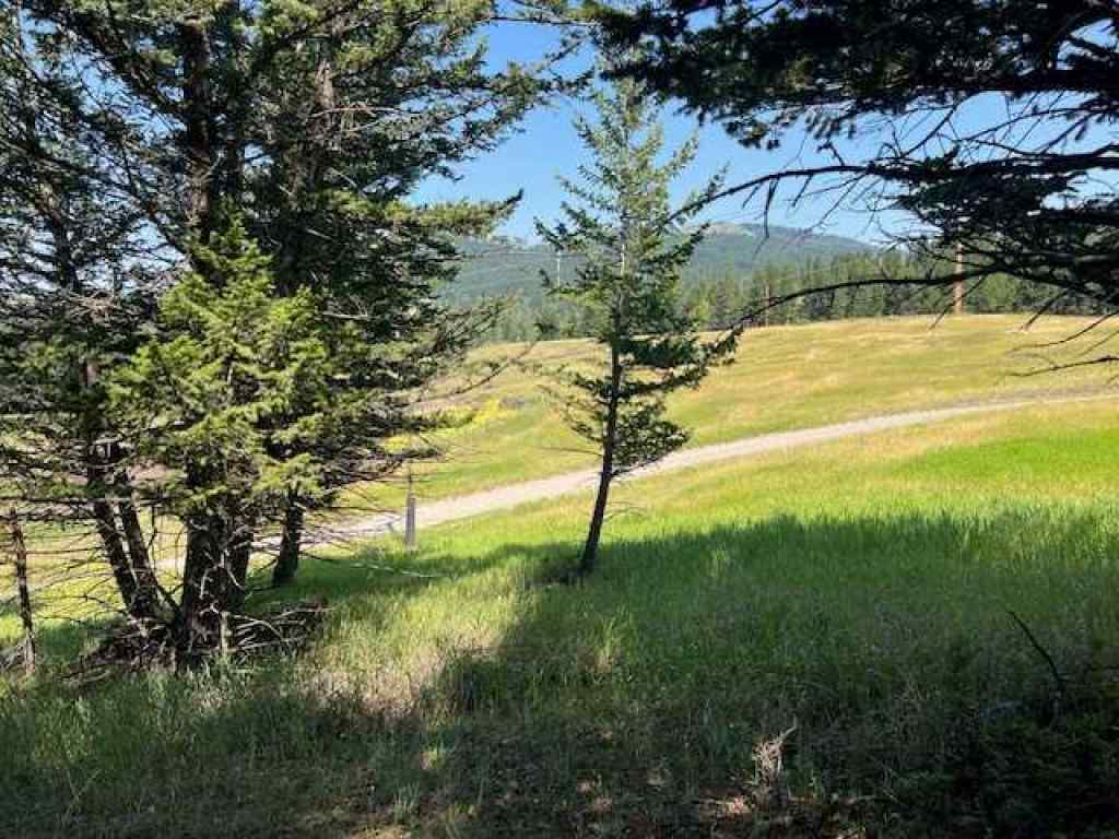 MLS® A2237652 - 8717 24 Avenue  in NONE Coleman, Land
