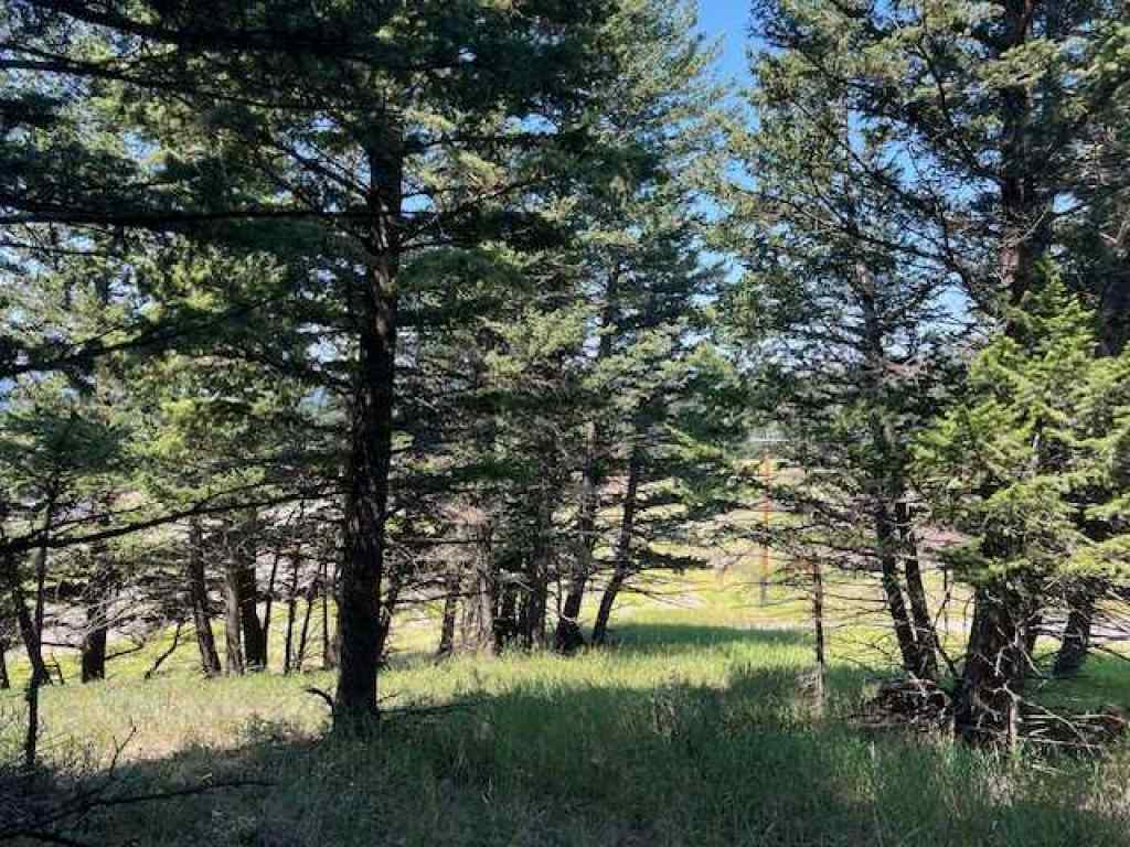 MLS® A2237652 - 8717 24 Avenue  in NONE Coleman, Land