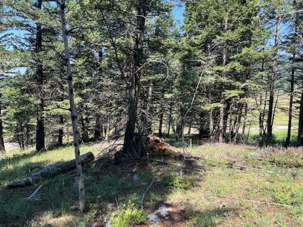 MLS® A2237652 - 8717 24 Avenue  in NONE Coleman, Land