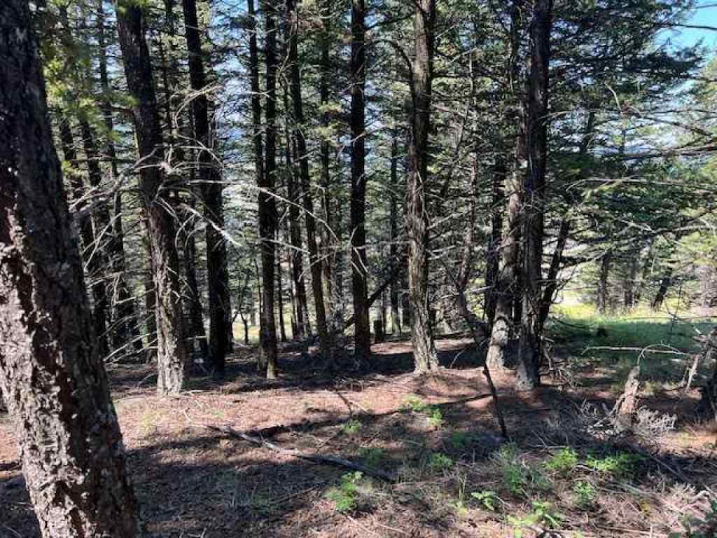 MLS® A2237652 - 8717 24 Avenue  in NONE Coleman, Land