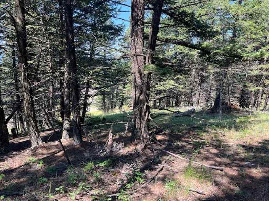 MLS® A2237652 - 8717 24 Avenue  in NONE Coleman, Land