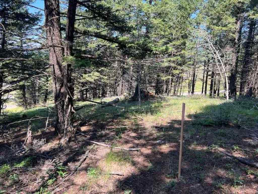MLS® A2237652 - 8717 24 Avenue  in NONE Coleman, Land