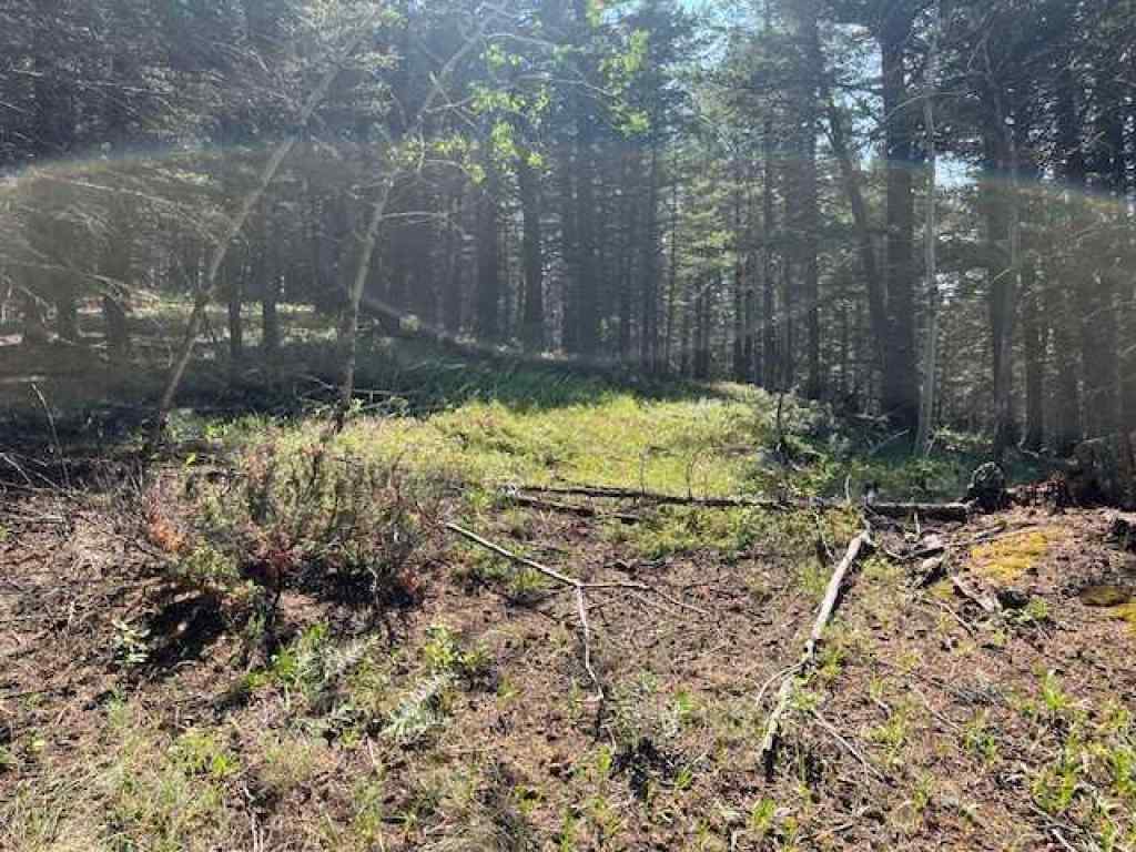 MLS® A2237652 - 8717 24 Avenue  in NONE Coleman, Land