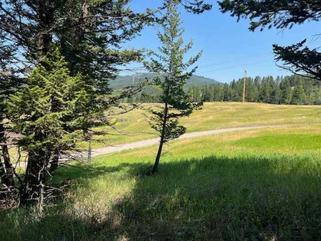 MLS® A2237652 - 8717 24 Avenue  in NONE Coleman, Land