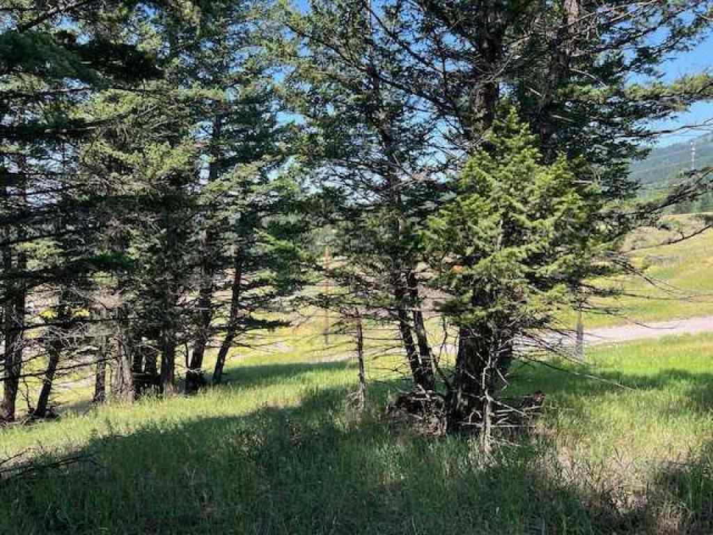 MLS® A2237652 - 8717 24 Avenue  in NONE Coleman, Land