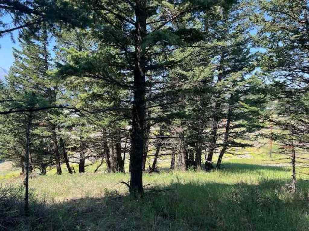 MLS® A2237652 - 8717 24 Avenue  in NONE Coleman, Land