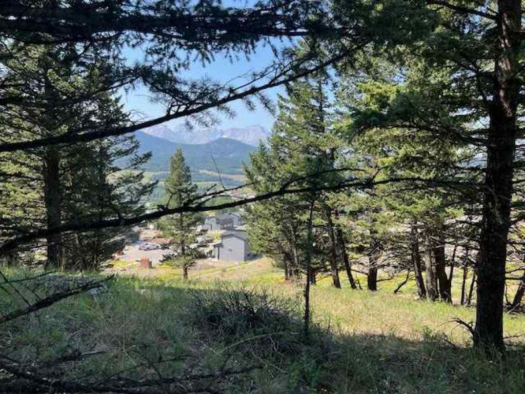 MLS® A2237652 - 8717 24 Avenue  in NONE Coleman, Land