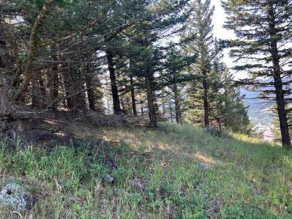 MLS® A2237652 - 8717 24 Avenue  in NONE Coleman, Land