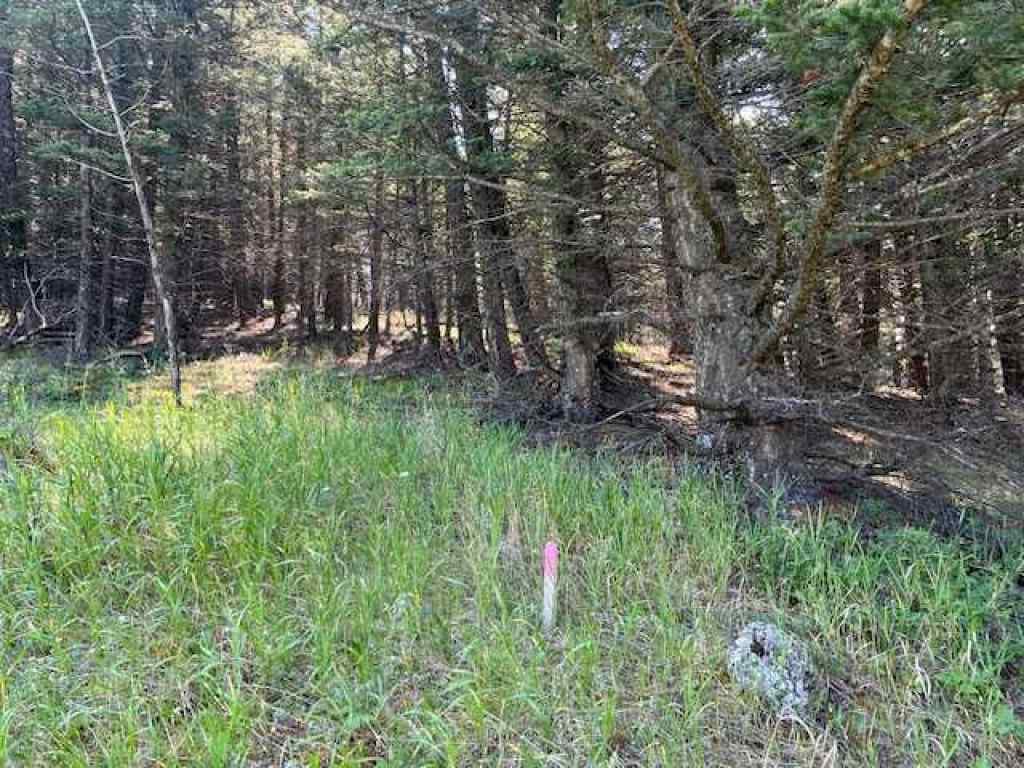 MLS® A2237652 - 8717 24 Avenue  in NONE Coleman, Land
