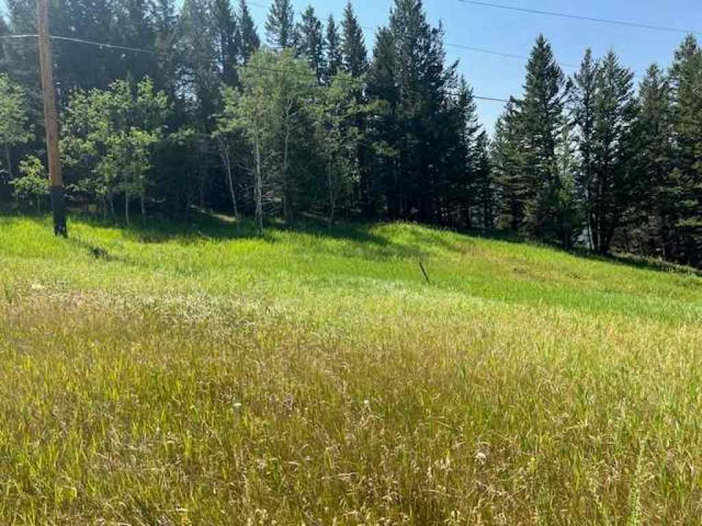 MLS® A2237652 - 8717 24 Avenue  in NONE Coleman, Land
