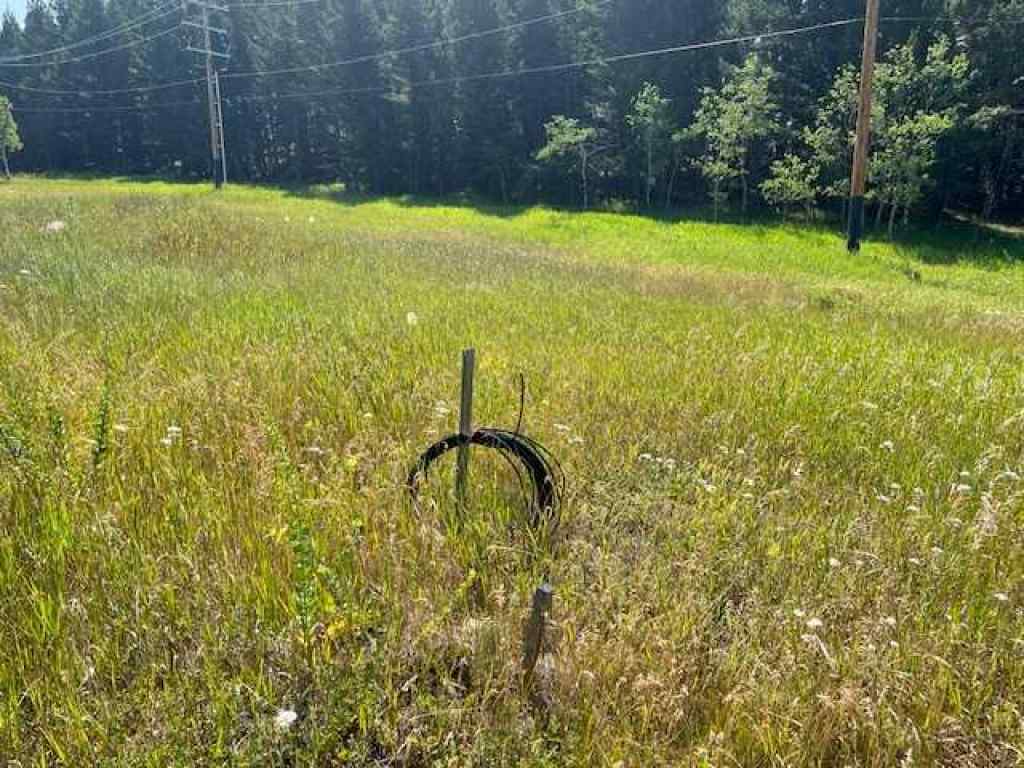 MLS® A2237652 - 8717 24 Avenue  in NONE Coleman, Land