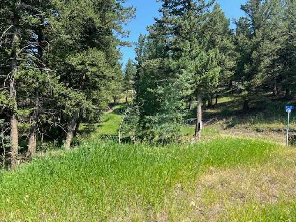 MLS® A2237652 - 8717 24 Avenue  in NONE Coleman, Land