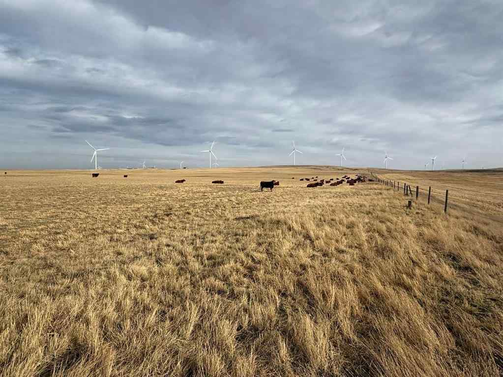 MLS&reg; # A2237686 - 142 Township Range Rd. 225 Township  in NONE Rural Vulcan County, Land Open Houses