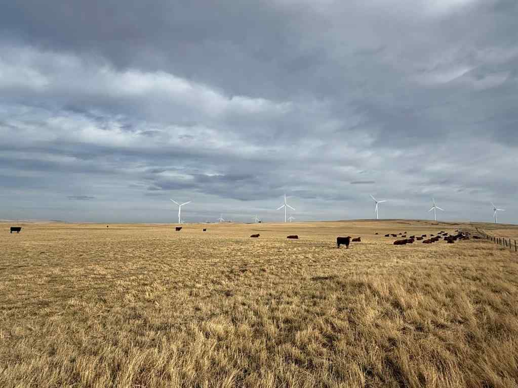 MLS&reg; # A2237686 - 142 Township Range Rd. 225 Township  in NONE Rural Vulcan County, Land Open Houses