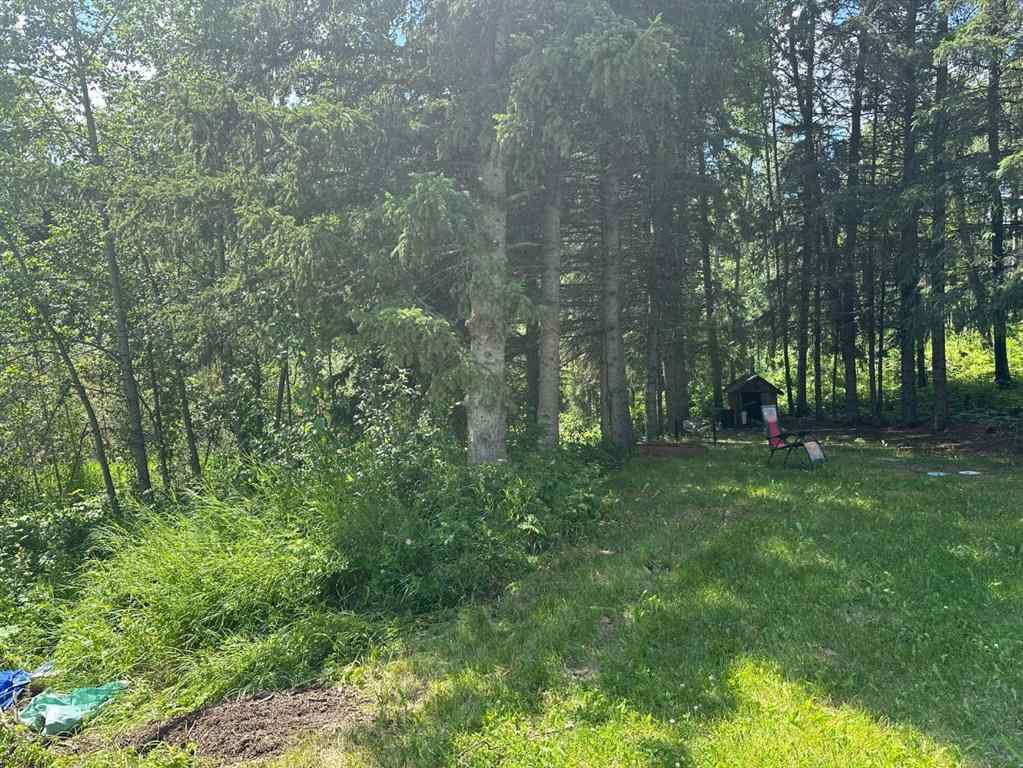 MLS® A2237723 - 403065 Range Road 4-5 Road  in NONE Rural Clearwater County, Land