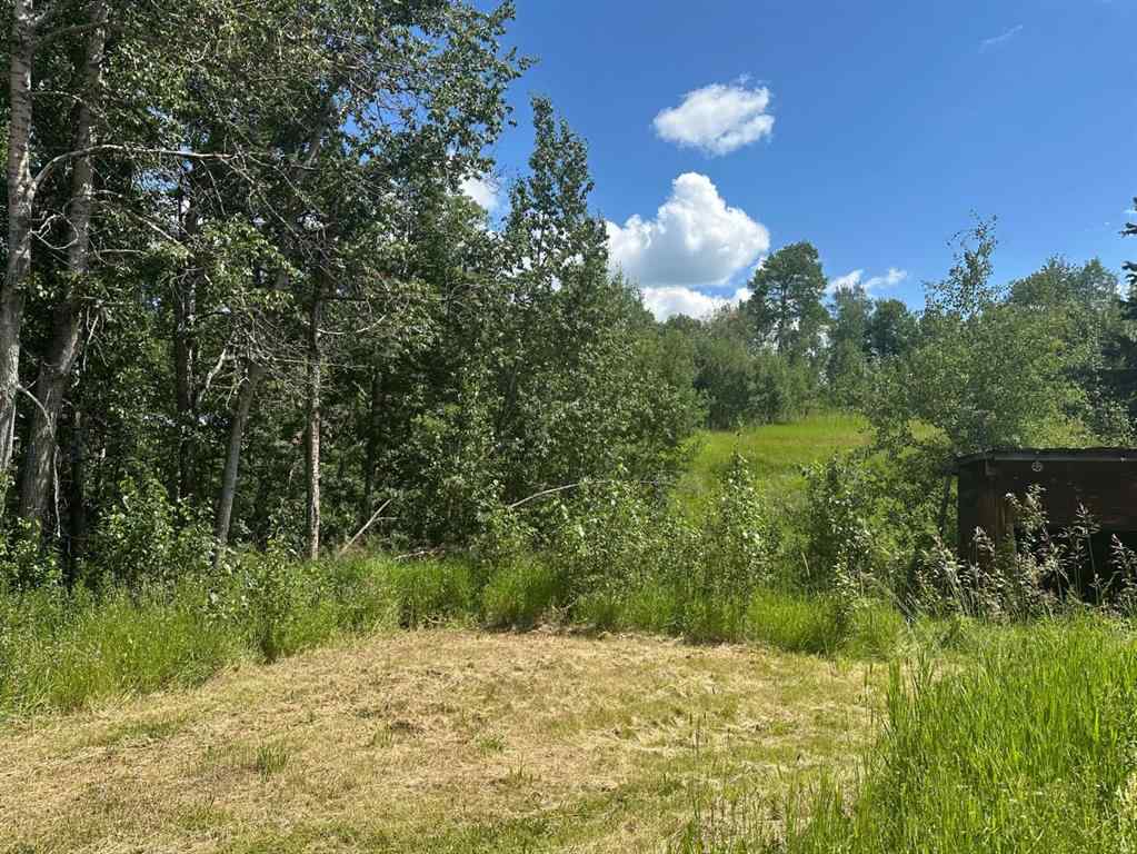 MLS® A2237723 - 403065 Range Road 4-5 Road  in NONE Rural Clearwater County, Land