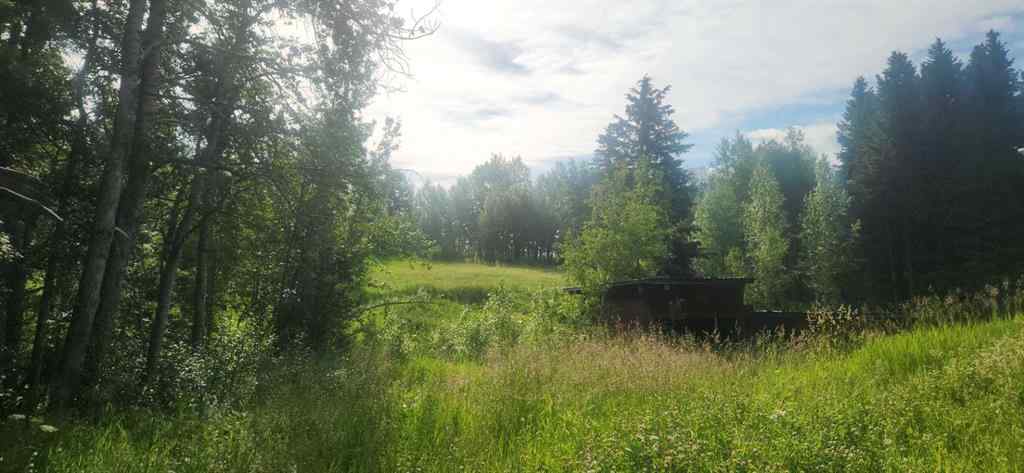 MLS® A2237723 - 403065 Range Road 4-5 Road  in NONE Rural Clearwater County, Land