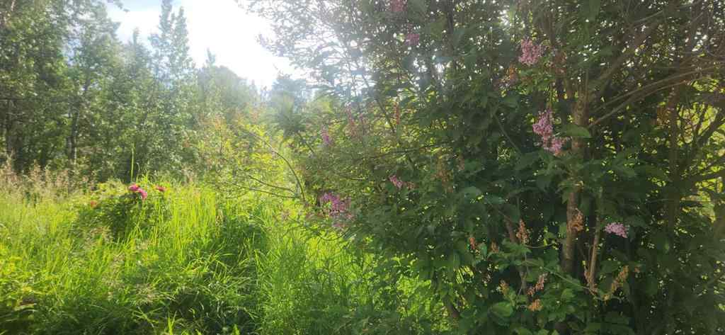 MLS® A2237723 - 403065 Range Road 4-5 Road  in NONE Rural Clearwater County, Land