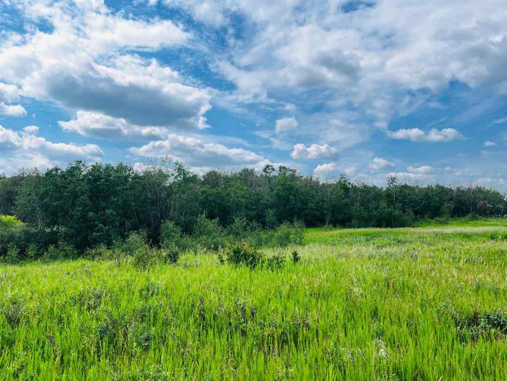 MLS® A2237873 -  PT. SE-6-49-5-W4   in NONE Rural Vermilion River, County of, Land