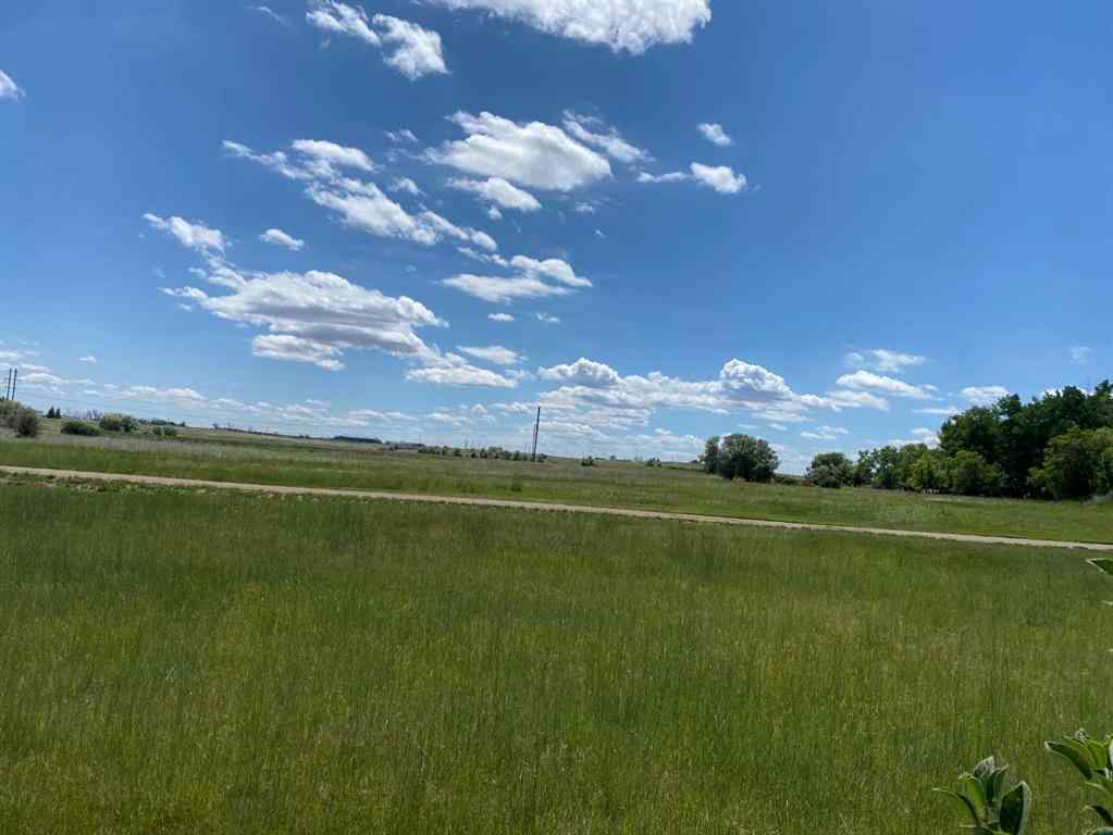 MLS® A2237888 - 99 Wildrose Avenue W in Sunnylea Brooks, Residential