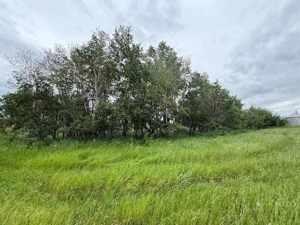 MLS® A2238013 -  Hwy 9 RR19-5A Starland County   in NONE Rural Starland County, Land